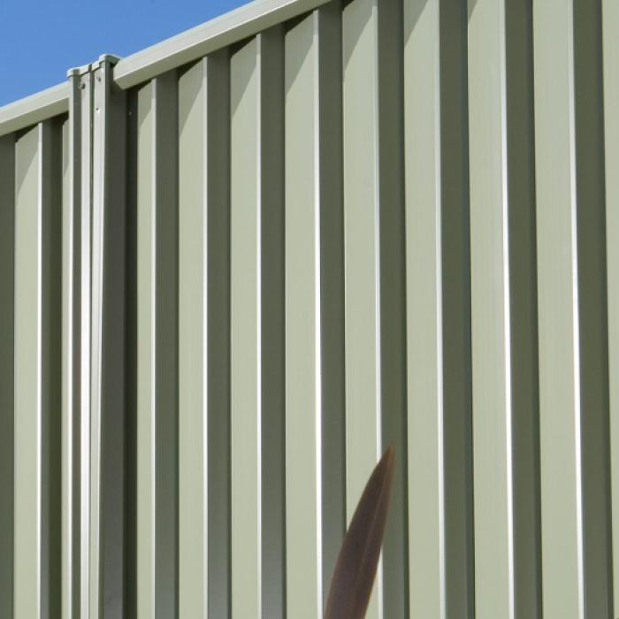 SMARTASCREEN fencing made from COLORBOND steel in colour Pale Eucalypt